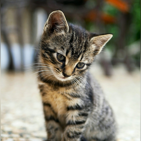 BOOKMARK my STORE - Picture 1 of 1